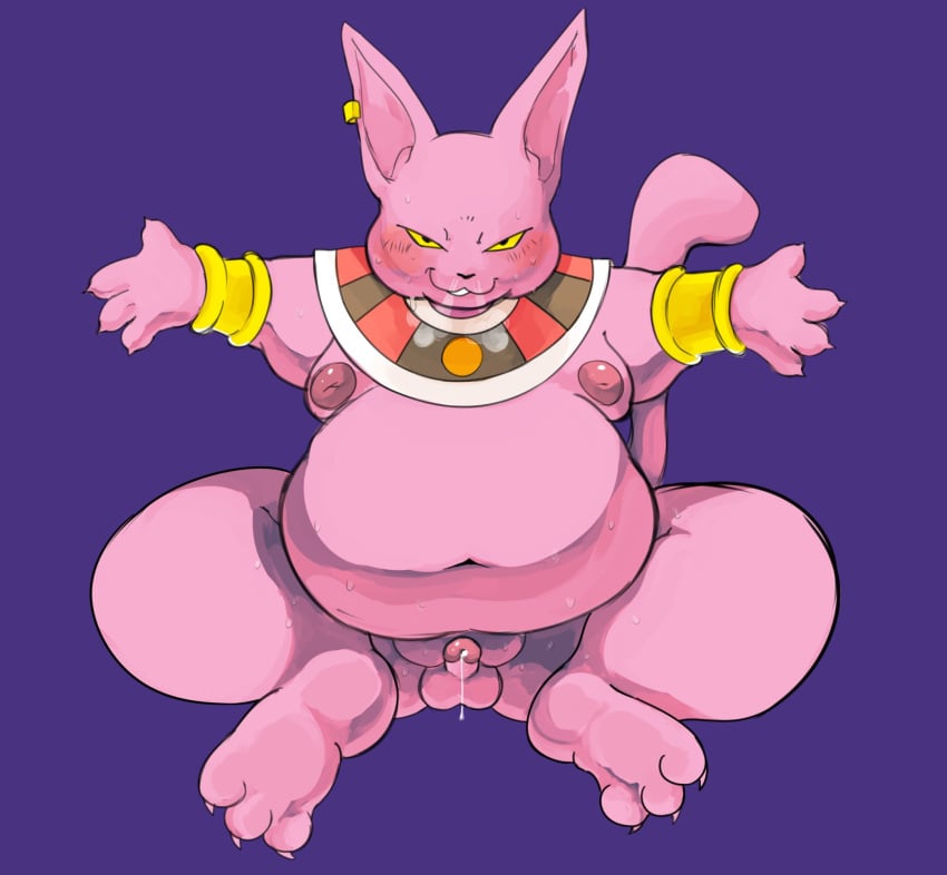 alien anthro aquatin balls belly blush bodily_fluids boner champa clothing digital_drawing_(artwork) digital_media_(artwork) domestic_cat dragon_ball dragon_ball_super erection feet felid feline felis fupa genital_fluids genitals hairless hairless_cat hi_res looking_at_viewer male male_only mammal moobs mostly_nude navel nipples nude overweight overweight_anthro overweight_male penis precum purple_background purple_body simple_background smile solo sphynx_(cat) spread_arms sweat