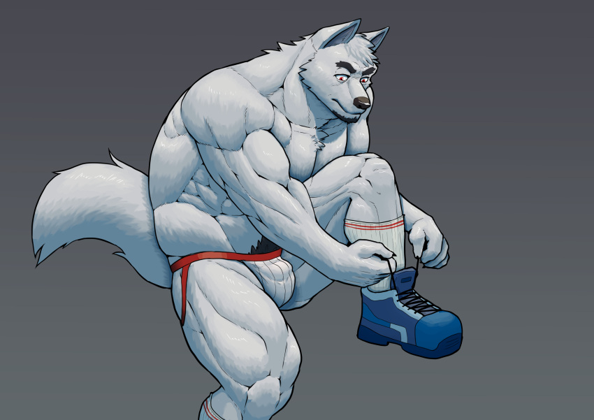 1boy abs anthro biceps canid canine canis clothing facial_hair footwear goatee hi_res jockstrap jockstrap_only male male_only mammal muscular muscular_thighs pecs redwolfalang shoes simple_background socks solo tying_shoes underwear wolf