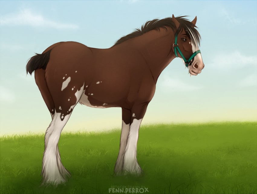 anus bridle brown_body brown_fur clydesdale day draft_horse equid equine feathering fenn.perrox feral fetlocks fur grass horse male mammal mane outside plant sky solo standing