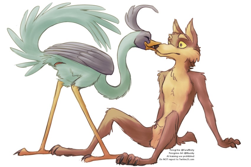 Road Runner (Looney Tunes) Rule 34 Image