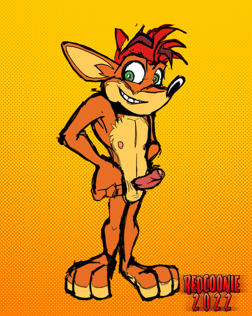 1boy absurd_res activision anthro balls barefoot crash_(series) crash_bandicoot feet genitals hi_res male male_only nipples nude paws penis redcoonie solo video_games