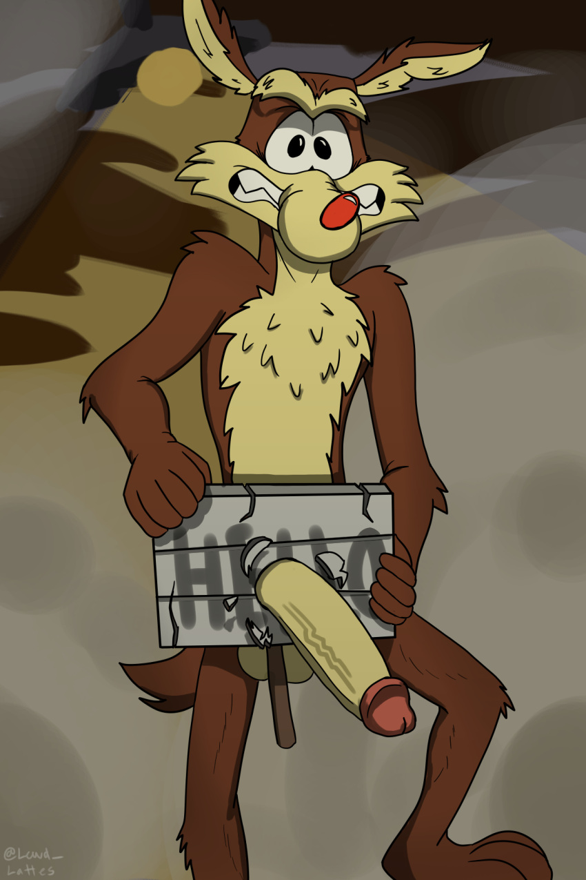 anthro canid canine canis cartoon_network circumcised coyote dust erection eyebrows genitals hi_res lewd_latte looney_tunes male male_only mammal penis red_nose sign smoke smooth_fur solo the_looney_tunes_show toony unibrow warner_brothers wile_e._coyote