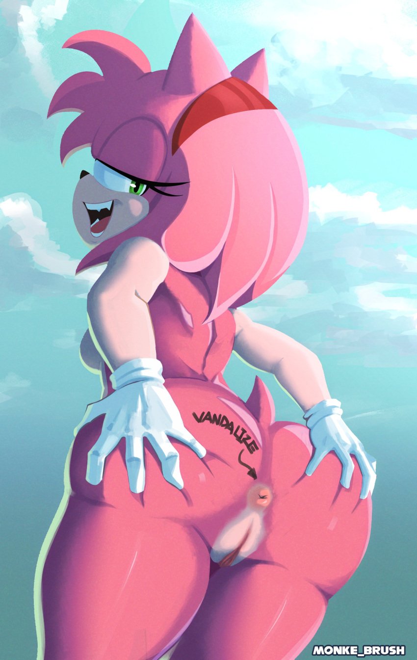 amy_rose anus bubble_butt completely_nude female female_focus female_only monke_brush pussy sonic_(series) sonic_the_hedgehog_(series) spread_ass writing_on_ass