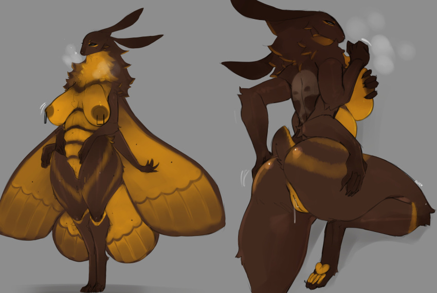 2022 4_arms absurd_res anthro arthropod ass big_butt biped bodily_fluids breasts breath brown_body brown_fur brown_nipples death's-head_hawkmoth digital_media_(artwork) digitigrade female fur genital_fluids genitals grey_background grey_eyes hand_on_breast hand_on_butt hawk_moth hi_res insect_wings insects lepidopteran lvlirror moth multi_arm multi_limb nipples pawpads presenting presenting_hindquarters pussy pussy_juice simple_background solo standing wide_hips wings yellow_body yellow_fur yellow_pawpads