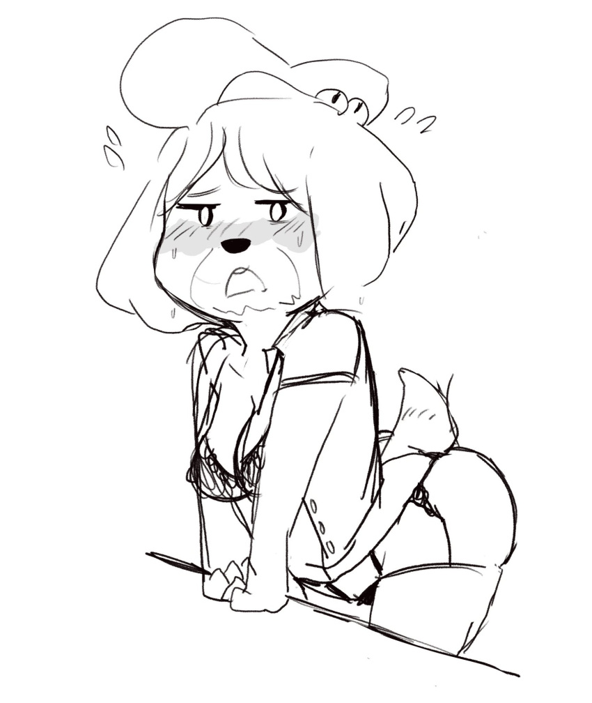 1girls animal_crossing anthro ass_up blush blush_lines blushing_at_viewer dog drunk female furry furry_breasts furry_ears furry_female furry_only furry_tail horny isabelle_(animal_crossing) lingerie nintendo sketch sprocket_(artist) tired tired_eyes woken_up