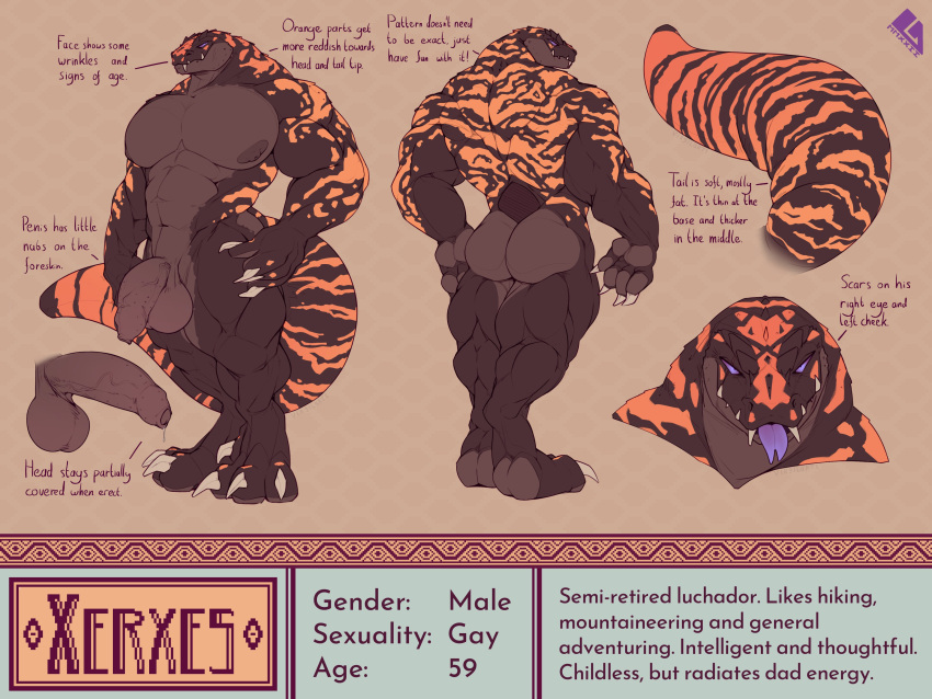 1boy 2022 abs absurd_res anthro ass balls biceps big_balls big_penis blep bodily_fluids brown_body brown_scales brown_stripes claws dripping english_text erection finger_claws foreskin forked_tongue genital_fluids genitals gila_monster grey_claws helodermatid hi_res humanoid_genitalia humanoid_penis lizard looking_at_viewer male mature_anthro mature_male maxydont model_sheet multicolored_body multicolored_scales muscular muscular_anthro muscular_male nipples nude orange_body orange_scales orange_stripes pecs penis precum precum_drip purple_eyes purple_tongue reptile scales scalie scar signature simple_background smile solo solo_male standing stated_homosexuality stated_sexuality stripes tan_background teeth text thick_tail thick_thighs toe_claws tongue tongue_out two_tone_body two_tone_scales vein veiny_penis watermark xerxes_(maxydont)