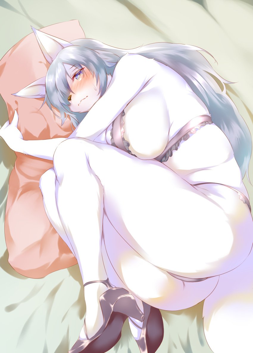 absurd_res anthro ass bedding bedding_background big_breasts black_clothing black_footwear black_high_heels blue_eyes blue_hair blush bra breasts canid canine clothed clothing curled_up female fetal_pose footwear fur ginko0101 hair hi_res high_heels kemono lily_mari lingerie looking_at_viewer lying mammal on_side panties pillow solo string_panties thick_thighs underwear white_body