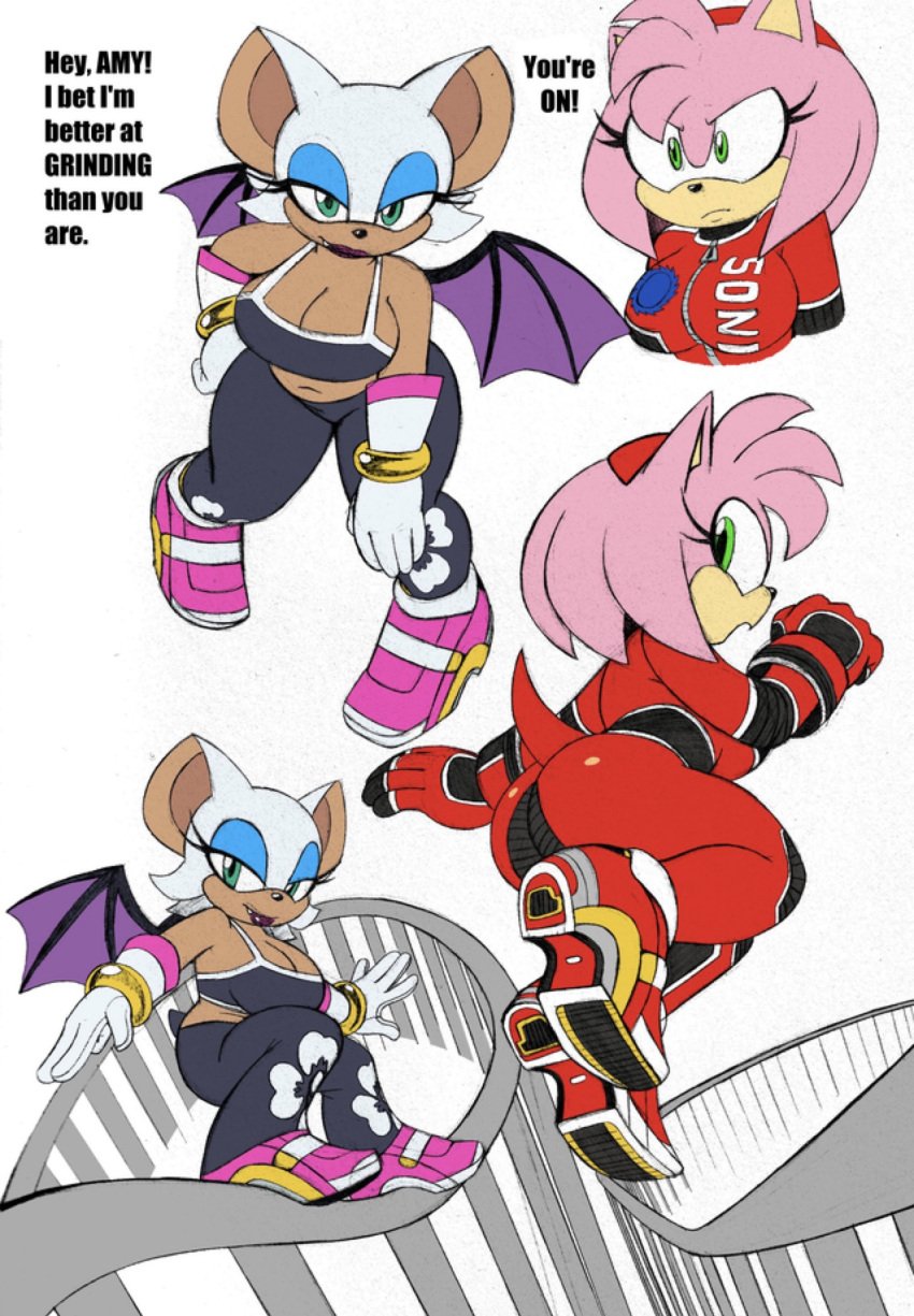 2girls amy_rose big_ass big_breasts female mobian_(species) mobian_bat mobian_hedgehog omegasunburst rouge_the_bat rouge_the_bat_(olympic_games) rouge_the_rider sega sonic_(series) sonic_adventure_2 sonic_the_hedgehog_(series) source_request tagme