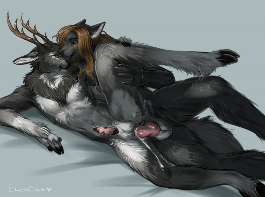 anal anal_sex animal_genitalia animal_penis anthro antlers bodily_fluids canid canine canine_penis canis cervid cum cum_in_ass cum_inside duo eleacat erection fur genital_fluids genitals grey_body grey_fur hair holding_leg horn knot leg_glider_position licking long_hair looking_at_another male male/male mammal penetration penile penile_penetration penis penis_in_ass predator/prey raised_leg sex tongue tongue_out wolf