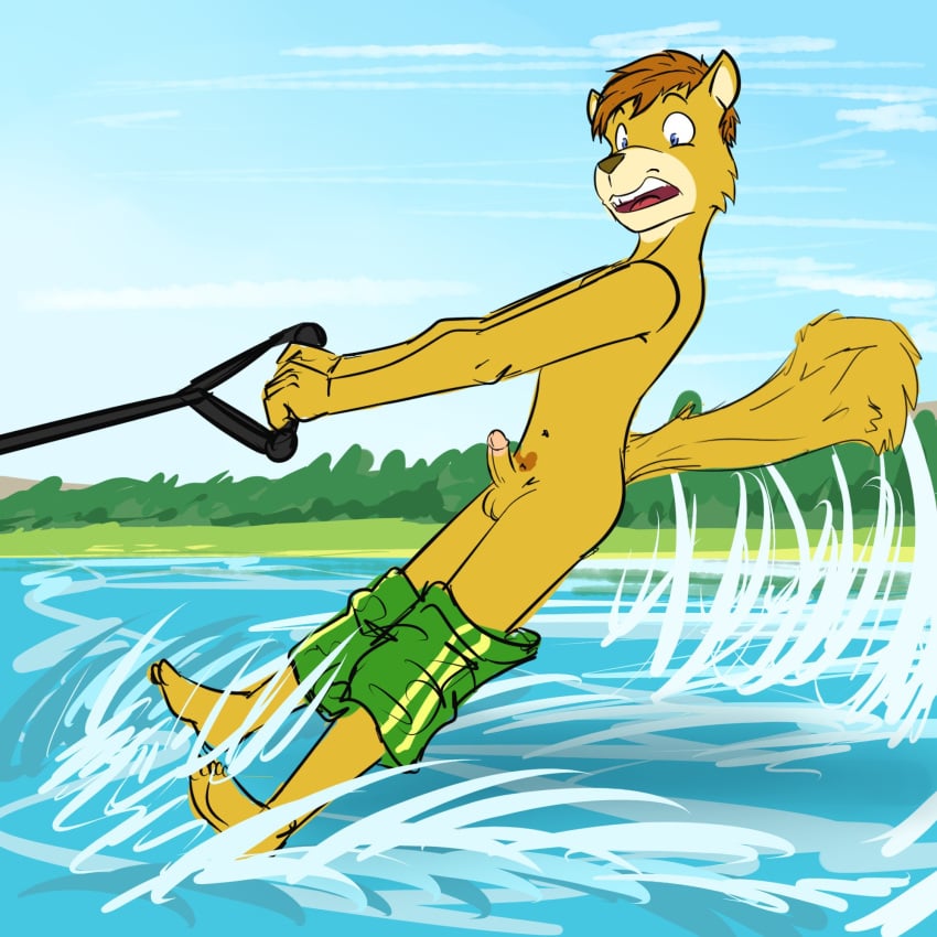 accidental_exposure anthro balls bottomwear bottomwear_down circumcised clothed clothing felix_(fuze) fuze genitals hi_res humanoid_genitalia humanoid_penis male mammal navel partially_clothed penis pubes rodent sciurid shocked_expression solo solo_male swimming_trunks swimming_trunks_down swimwear topless tree_squirrel wardrobe_malfunction water water_skiing