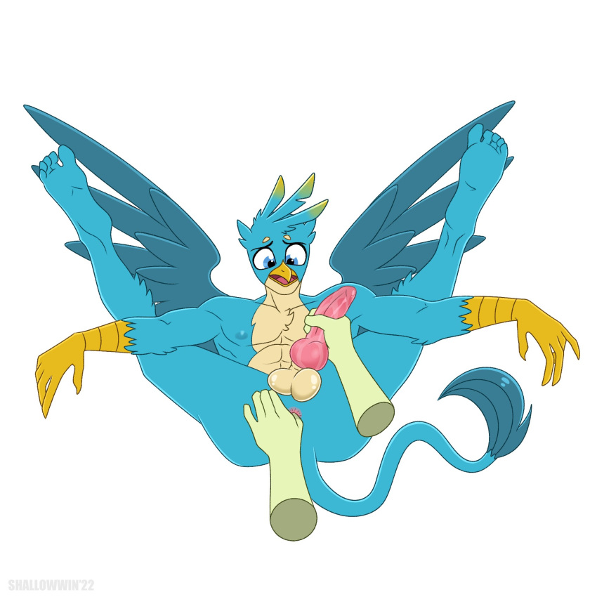 5_fingers 5_toes abs anal anal_fingering anthro anthrofied anus ass avian balls barefoot beak blue_body blue_eyes blue_feathers digital_media_(artwork) disembodied_hand feathered_wings feathers feet fingering fingers friendship_is_magic gallus_(mlp) genitals gryphon hasbro hi_res humanoid_feet humanoid_genitalia humanoid_hands humanoid_penis knot long_tail male male/male my_little_pony mythological_avian mythology open_mouth penis pink_penis sandbar_(mlp) shallowwin simple_background spread_legs spread_wings spreading tail_tuft tan_body toes tuft white_background wings