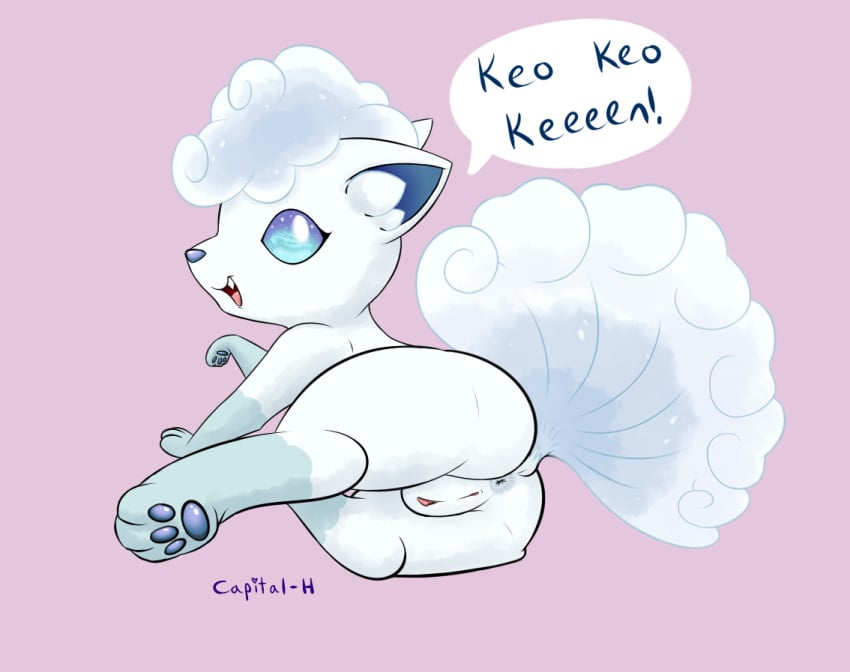 alolan_form alolan_vulpix anus ass blue_eyes capital-h english_text female feral genitals looking_at_viewer nintendo pokemon pokemon_(species) pussy raised_tail regional_form_(pokemon) simple_background solo text video_games vulpix white_body