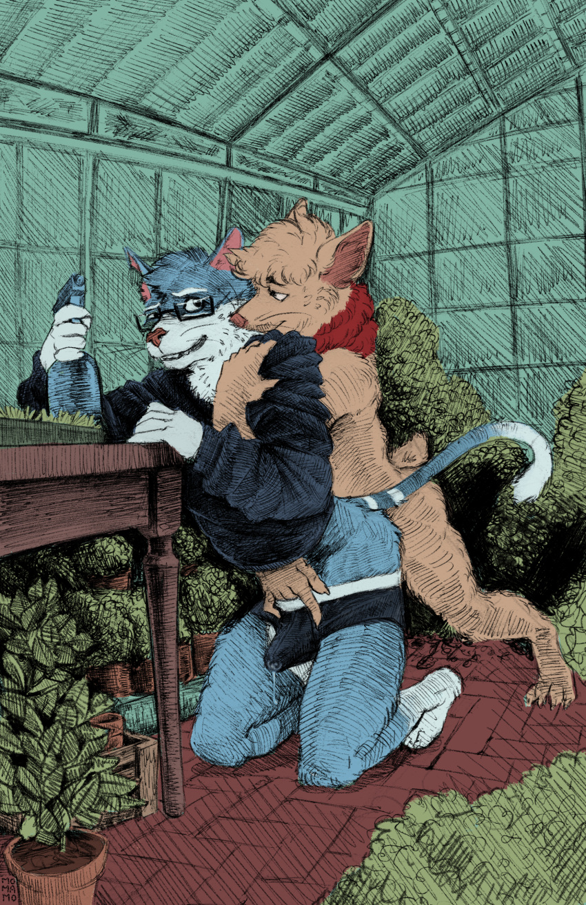 absurd_res anthro anthro_on_anthro blue_body blue_fur bodily_fluids brown_body brown_fur bulge catnip_(khatnid) clothing cum duo embrace erection eyewear fan_character felid feline from_behind_position fur gay genital_fluids glasses greenhouse hand_in_underwear hand_on_bulge hi_res hug hugging_from_behind looking_at_another looking_back male male/male male_only mammal momamo neck_tuft nude plant precum sex smile spray_bottle sweater teemo_the_yiffer topwear tuft underwear undressing undressing_another video_games vivarium yaoi