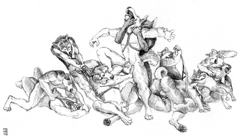 2022 animal_genitalia animal_penis anthro anthro_on_anthro ass balls bite canid canine canis curled_tail domestic_dog fight fighting_pose fur genitals group harness hi_res husky leash leash_pull leg_grab male male/male mammal momamo muscular muscular_anthro muscular_male nordic_sled_dog nude penis pinned pose sheath simple_background spitz traditional_media_(artwork) tugging_clothing