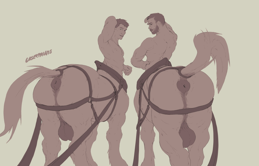 balls centaur duo equid equid_taur equine equine_anus equine_taur genitals hand_behind_head hand_on_hip hi_res horse horse_taur laser_(artist) looking_at_viewer male male_only mammal mammal_taur monochrome muscular muscular_male muscular_taur quadruped simple_background taur three-quarter_view