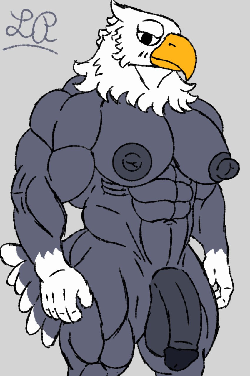 2:3 abs accipitrid accipitriform animal_crossing anthro apollo_(animal_crossing) avian bald_eagle balls beak big_pecs big_penis bird digital_media_(artwork) eagle feathers flaccid genitals hi_res looking_at_viewer lusty_place male mammal muscular muscular_anthro muscular_male nintendo nipples nude pecs penis sea_eagle simple_background solo solo_focus tail