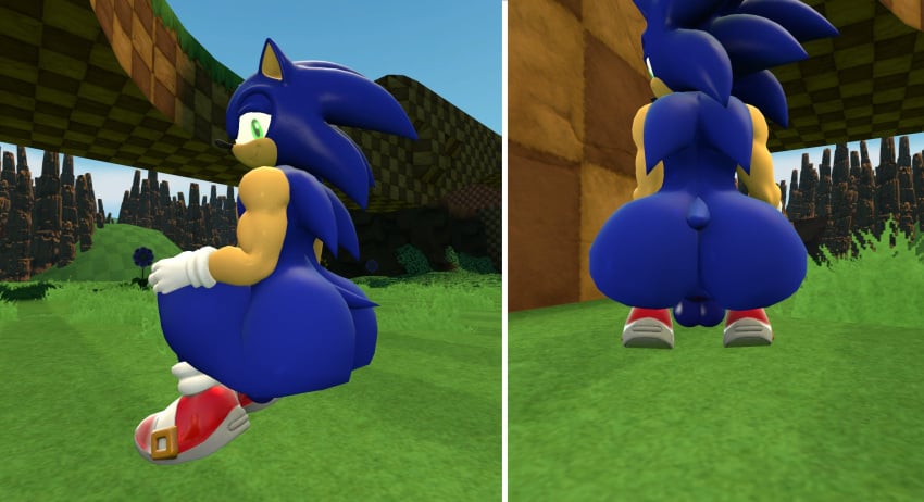 1boy anus ass ass_focus backsack balls big_ass big_butt blue_body blue_fur bubble_ass bubble_butt butt_focus eulipotyphlan fat_ass fat_butt hedgehog huge_ass huge_butt large_ass large_butt looking_at_viewer looking_back looking_back_at_viewer male male_only presenting presenting_ass presenting_balls sega solo solo_male sonic_(series) sonic_the_hedgehog sonic_the_hedgehog_(series) squatting thick_ass thick_butt