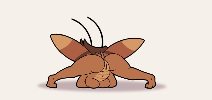 2022 2_toes antennae_(anatomy) anus arthropod ass ass_up blattodea breasts brown_body brown_hair cockroach digital_media_(artwork) feet female hair hi_res imbynova insect_wings insects jack-o'_pose lewdnova medium_breasts navel nude pose rachie_(imbynova) rear_view shadow simple_background tail thick_thighs toes white_background wings