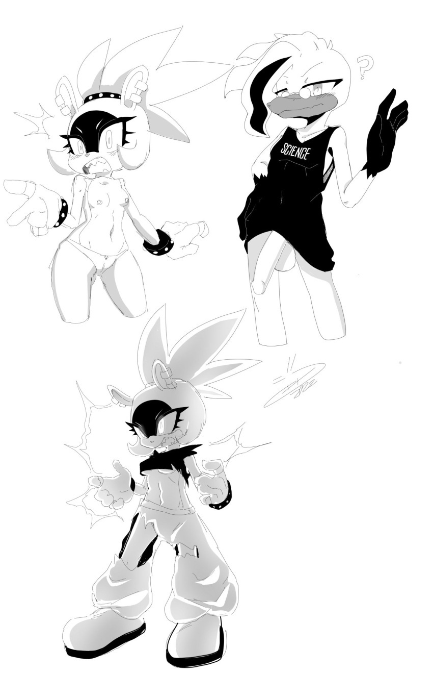 Mobian (Species) Rule 34 Image