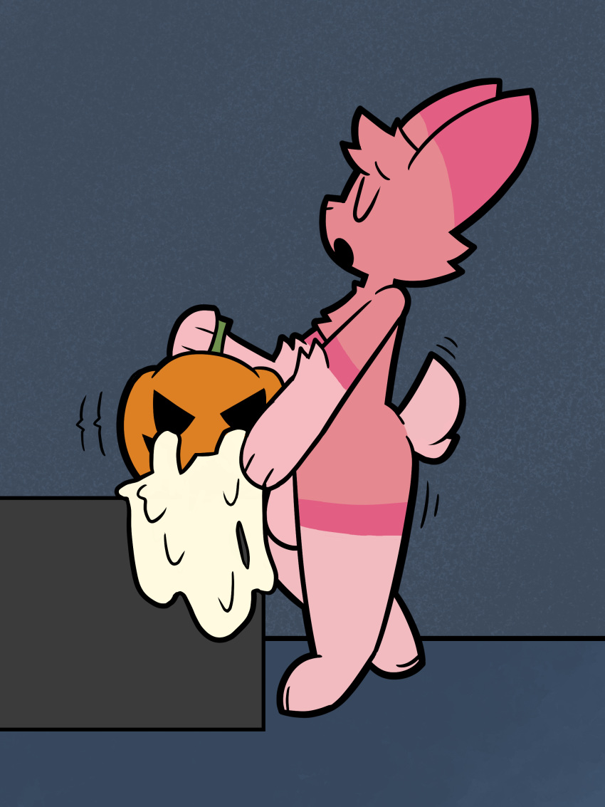 3:4 absurd_res anthro balls bodily_fluids bottom_heavy_femboy cherry_(knotthatbun) closed_eyes cum cum_in_pumpkin excessive_cum excessive_genital_fluids food food_fetish food_play fruit fur furry furry_only genital_fluids genitals grape_ad hi_res jack-o'-lantern lagomorph leporid looking_pleasured male male_only mammal open_mouth pink_body pink_fur plant pumpkin_sex rabbit solo tail