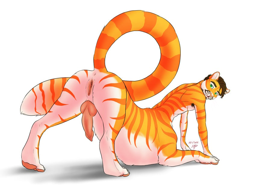 absurd_res anatomically_correct anatomically_correct_genitalia anatomically_correct_pussy animal_genitalia anthro armpit_hair bedroom_eyes body_hair cuntboy cuntboy_sans_balls domestic_cat erection felid felid_taur feline feline_ears feline_taur felis fursona_(kevira065) genital_focus genitals herm hermaphrodite hi_res hybrid intersex inviting kevira065 knot leaning leaning_forward long_tail looking_back male maleherm mammal mammal_taur multi_genitalia narrowed_eyes nude offering_to_viewer pantherine paws penis presenting presenting_penis presenting_pussy pussy raised_tail rear_view seductive solo spread_legs spreading striped_body stripes taur tiger