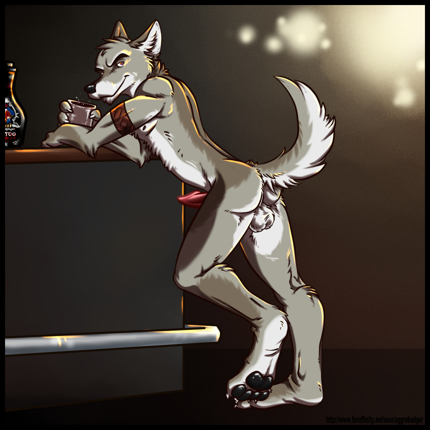 2011 Rule 34 Image