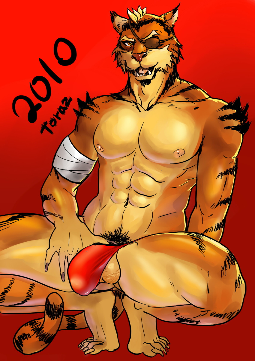 1boy 2010 anthro balls bandage bulge crouching eye_patch feline fur furry inmomakuro male male_only nipples solo tail thong tiger toraz underwear