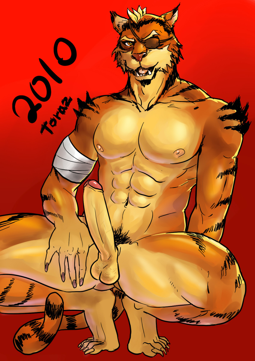 1boy 2010 anthro balls bandage crouching erection eye_patch feline fur furry inmomakuro male male_only nipples penis solo tail tiger toraz uncut