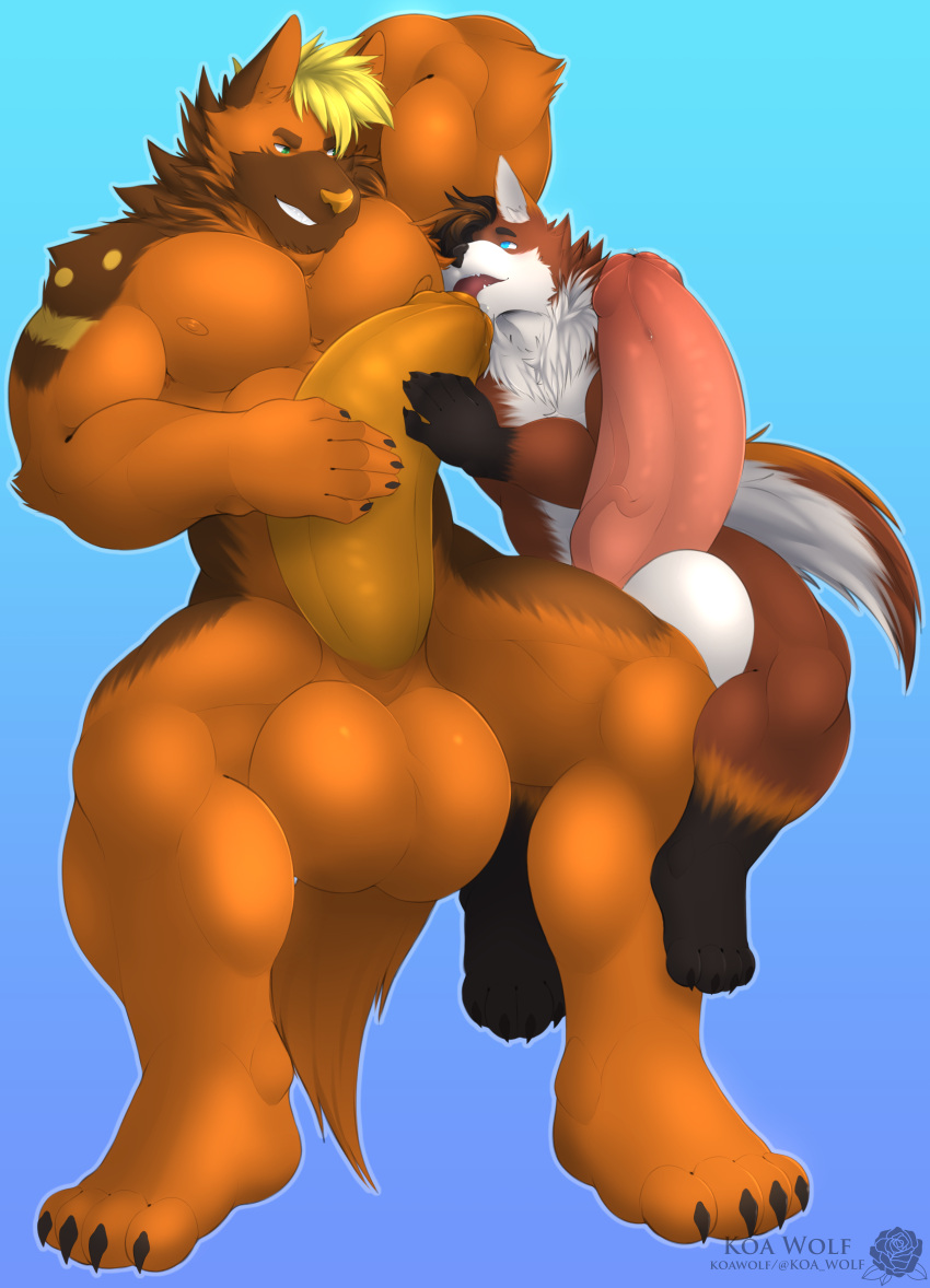 4_toes 5_fingers abs absurd_res anthro balls biceps big_balls big_penis blonde_hair bodily_fluids brown_hair canid claws duo erection eye_contact feet finger_claws fingers genital_fluids genitals hair hand_behind_head hand_on_penis hi_res huge_balls huge_cock hyper hyper_balls hyper_genitalia hyper_penis koa_wolf larger_anthro larger_male leaking_precum licking looking_at_another looking_at_partner looking_down looking_down_at_partner looking_up looking_up_at_partner male male/male mammal muscular muscular_anthro muscular_male muscular_thighs nude oral orange_body pecs penile penis penis_lick precum precum_on_penis sex size_difference smaller_anthro smaller_male toe_claws toes tongue tongue_out vein veiny_penis