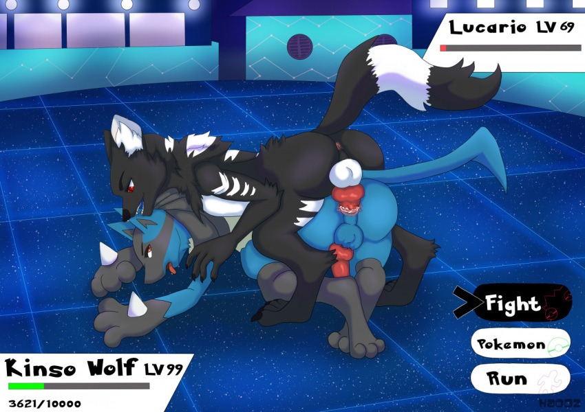 anal anal_sex anthro arena battle beast_(disambiguation) canid canine canis duo generation_4_pokemon genitals gym haodz kinsowolf lucario male male/male mammal nintendo penetration penis pokemon pokemon_(species) sex video_games wolf