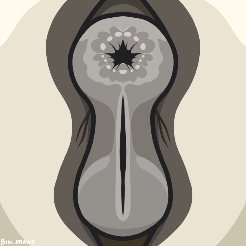 Equid Rule 34 Image