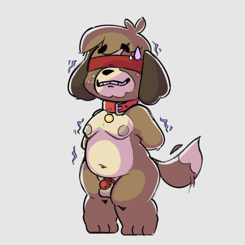 2022 3_toes animal_crossing anthro balls belly blindfold bodily_fluids brown_body brown_fur canid canine canis chastity_cage chastity_device collar digby_(animal_crossing) digital_drawing_(artwork) digital_media_(artwork) dipstick_tail domestic_dog feet fur furry furry_only genitals hi_res male male_only mammal markings mostly_nude multicolored_body multicolored_fur nervous nintendo nipples penis petplay red_blindfold red_collar roleplay shaking shivering simple_background slightly_chubby solo standing strawbearer sweat tail tail_markings toes toony video_games