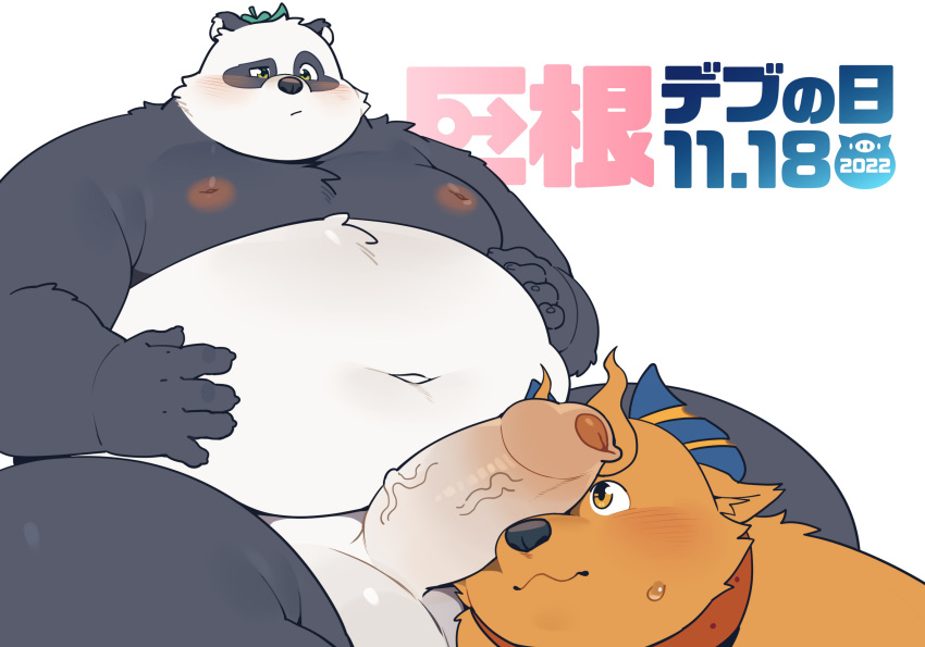 2022 anthro belly big_belly big_dick_day black_body blush brown_body duo erection genitals giant_panda hi_res humanoid_genitalia humanoid_hands humanoid_penis kemono male mammal moobs navel nipples overweight overweight_male penis penis_on_face quanjiang ursid white_body