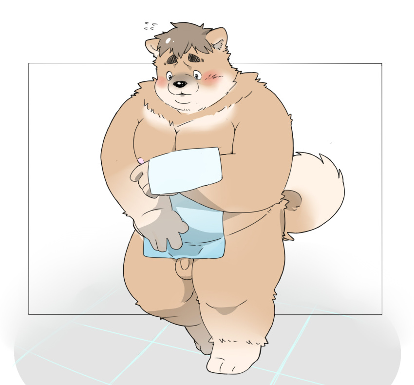 2022 anthro balls belly black_nose blush canid canine canis domestic_dog flaccid genitals hi_res humanoid_hands inunoshippo kemono male mammal moobs nipples overweight overweight_male penis small_penis solo towel