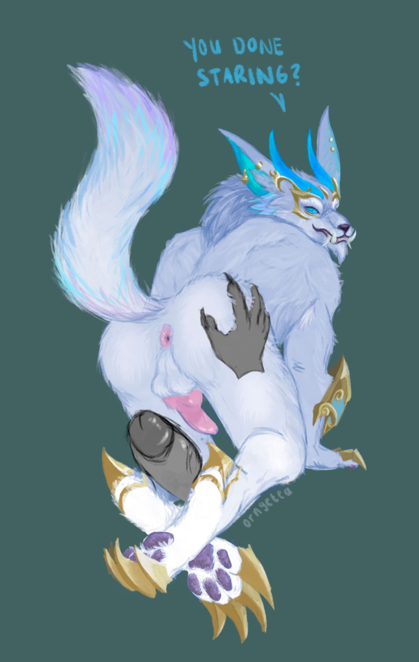 anthro anus canine canine_penis furry imminent_sex knot league_of_legends orngetea paws penis prestige_skin spread_anus warwick winterblessed_series winterblessed_warwick_prestige_edition