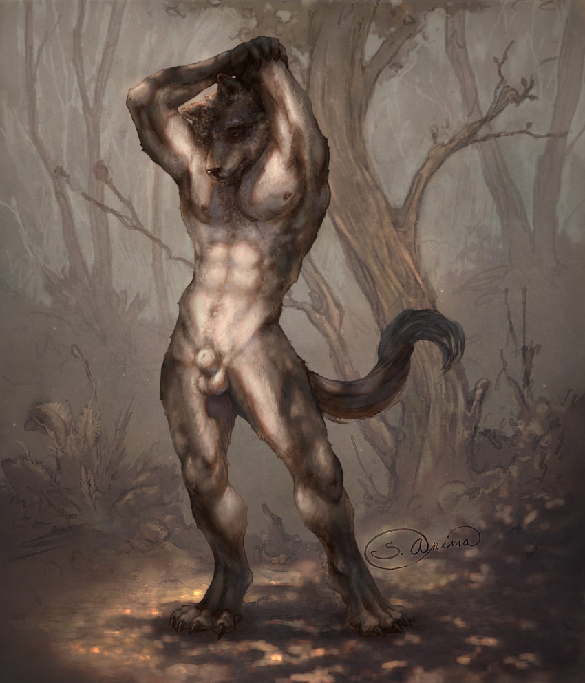 4_toes absurd_res animal_genitalia anthro arms_above_head balls biped canid canine canis casual_exposure casual_nudity digitigrade feet forest fully_sheathed genitals hi_res male mammal nipples nude outside plant raised_arms s_anima sheath solo stretching toes tree wolf