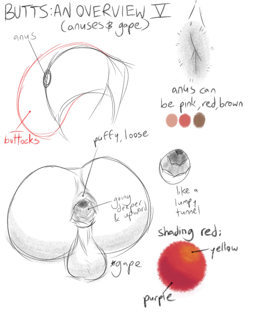 Anus Rule 34 Image