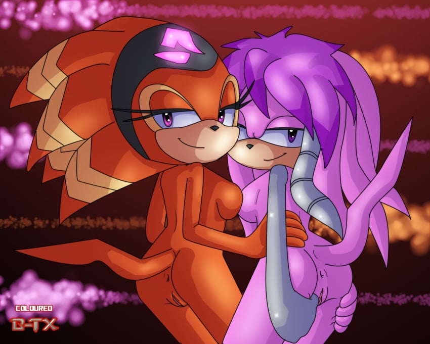 angelofhapiness anthro anus bladetigerx breasts cybernetics duo half-closed_eyes julie-su looking_at_viewer pussy shade_the_echidna smile sonic_(series) sonic_chronicles:_the_dark_brotherhood sonic_the_hedgehog_(archie)