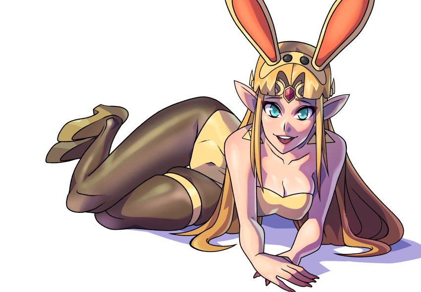 Princess Zelda (Nintendo) Rule 34 Image
