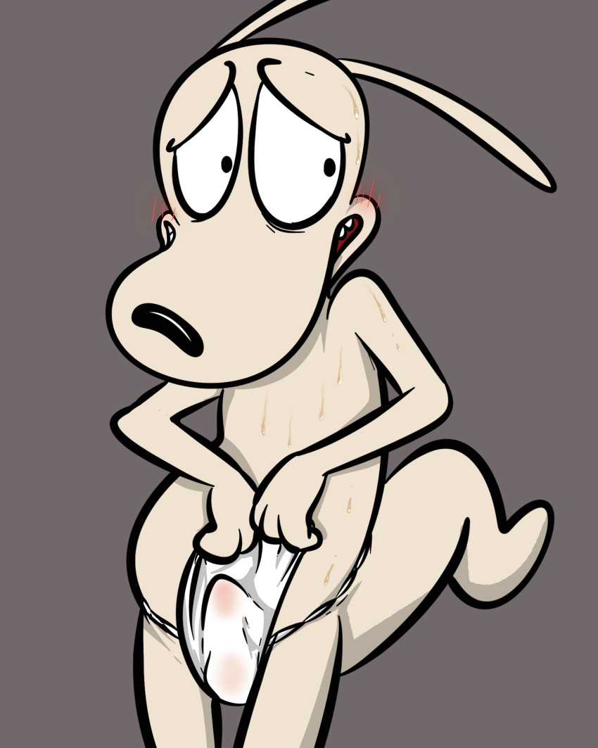 4:5 absurd_res anthro asian_clothing blush bodily_fluids bulge clothing covering covering_self east_asian_clothing fundoshi hi_res illegaleel ineffective_clothing japanese_clothing macropod male mammal marsupial nickelodeon rocko's_modern_life rocko_rama solo sweat tenting underwear wallaby