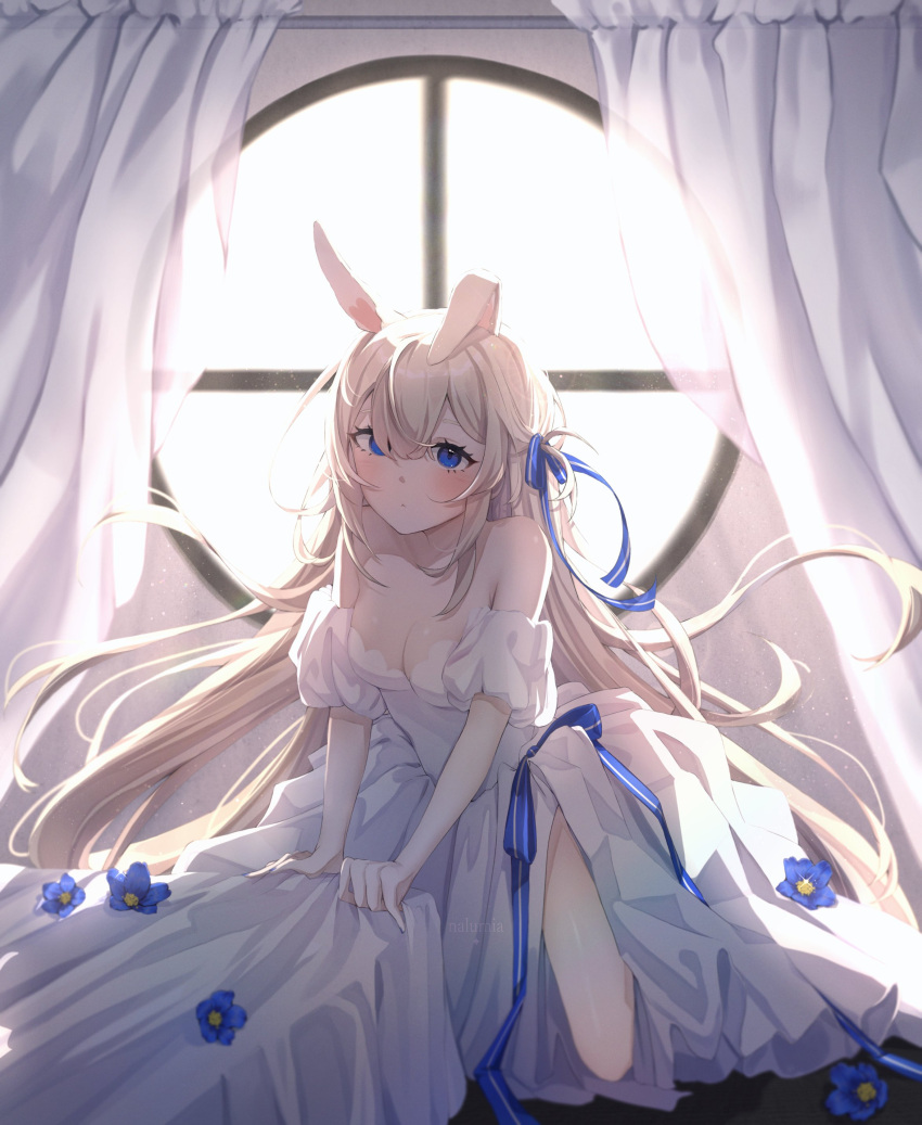 1girl animal_ears backlighting bangs bare_shoulders blue_bow blue_eyes blue_flower blue_ribbon blue_rose blush breasts bunny_ears bunny_girl bunny_tail canopy_bed cleavage closed_mouth collarbone curtain_grab curtains day dress eyebrows_visible_through_hair female_only flower hair_between_eyes hair_ribbon indoors long_hair looking_at_viewer off_shoulder parted_lips petals puffy_short_sleeves puffy_sleeves ribbon rose short_sleeves silver_hair sitting skirt_hold small_breasts solo sunlight transparent very_long_hair virtual_youtuber vyugen white_dress white_flower window yenko