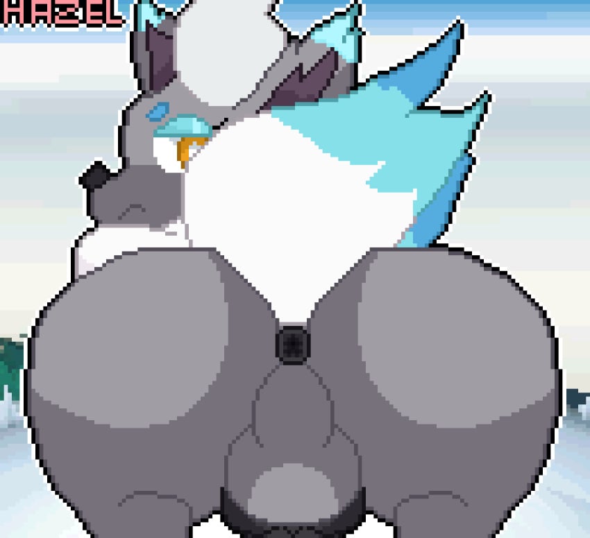 anal_wink animal_genitalia animal_penis animated anus ass backsack balls big_butt black_penis blue_body blue_fur bouncing_balls bouncing_butt canine_penis feral fur furry furry_only genitals girly grey_body grey_fur hazelninetales hi_res hisuian_form hisuian_zorua looking_at_viewer male male_only nintendo penis pokémon_(species) pokemon pokemon_(species) puffy_anus rear_view regional_form_(pokemon) shiny_pokemon short_playtime solo tail video_games yellow_eyes