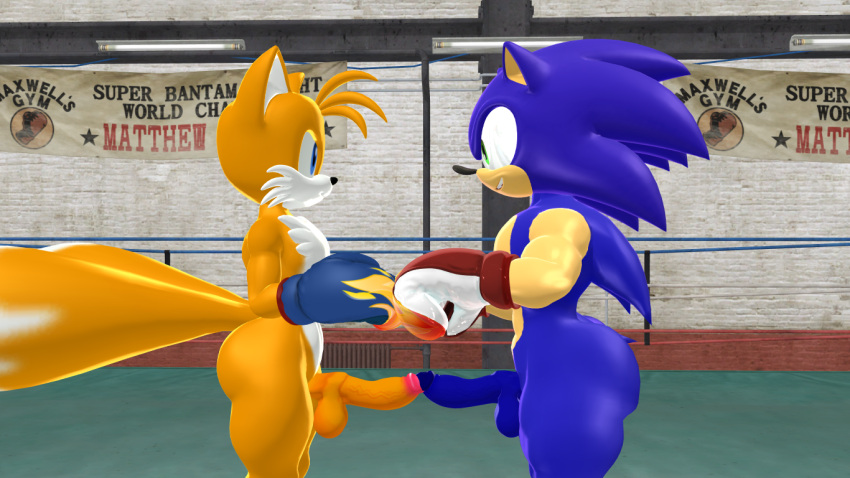 2boys 3d balls blue_penis boxing boxing_gloves boxingfan12 erect_penis male male/male muscular nude penis sonic_(series) sonic_the_hedgehog sonic_the_hedgehog_(series) tails