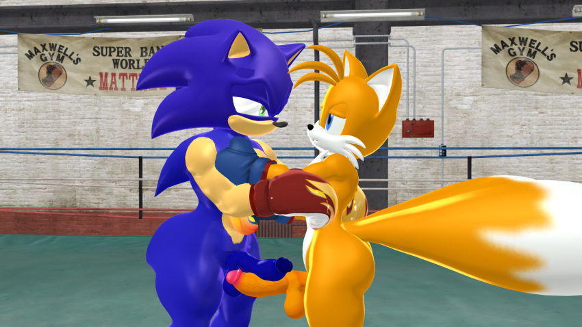 2boys 3d balls blue_eyes blue_fur boxing_ring boxingfan12 green_eyes male nude penis sega sonic_(series) sonic_the_hedgehog sonic_the_hedgehog_(series) tails video_games