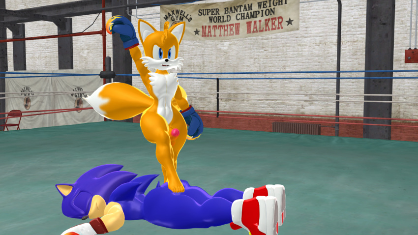 3d ass balls blue_fur boxing_gloves boxing_ring boxingfan12 feet foot_on_ass fox hedgehog humanoid_feet lying_on_stomach male maledom muscular_male nude one_arm_up penis sega sonic_(series) sonic_the_hedgehog sonic_the_hedgehog_(series) tails