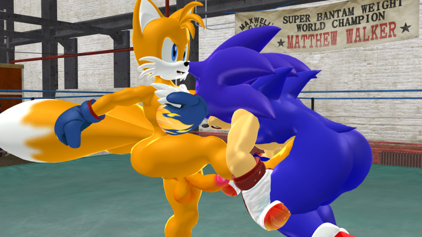 2boys 3d ballbusting balls blue_fur boxing_gloves boxingfan12 erect_penis groin_kick hedgehog kicking male maledom nude penis sega sonic_(series) sonic_the_hedgehog sonic_the_hedgehog_(series) tails video_games