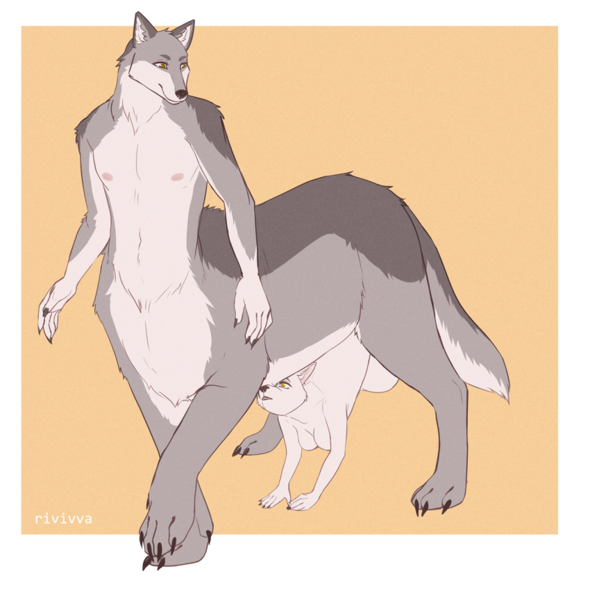 1:1 2022 5_fingers balls breasts canid canid_taur canine canine_taur canis claws digital_drawing_(artwork) digital_media_(artwork) digitigrade eyebrows female finger_claws fingers fur genitals grey_body grey_fur hi_res male mammal mammal_taur multicolored_body multicolored_fur nipples penis penis_transformation quadruped rivivva sentient_penis taur thatoneweirdo transformation unusual_anatomy unusual_genitalia white_body white_fur wolf wolf_taur yellow_eyes