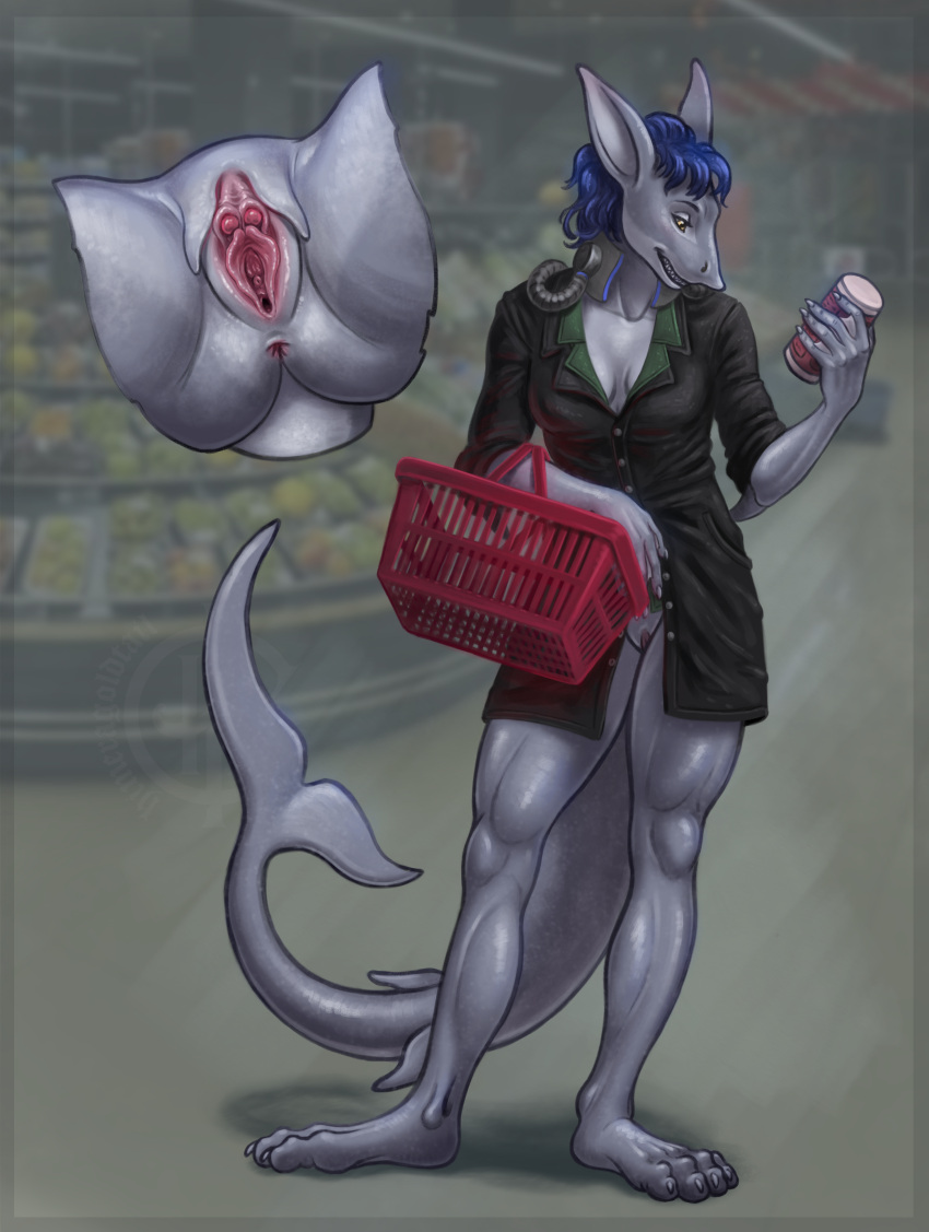 absurd_res anthro black_clothing black_eyebrows black_shirt black_topwear blue_hair bottomless breasts claspers cleavage clitoris clothed clothing detailed_genitals exhibitionism eyebrows female fish genitals grey_body grey_skin hair hi_res himeragoldtail lamnid lamniform long_ears mako_shark marine miana_deatherage_(character) multi_clitoris multi_genitalia rebreather shark shirt shopping_basket short_sleeves simple_background solo store teeth_visible thick_eyebrows topwear yellow_eyes