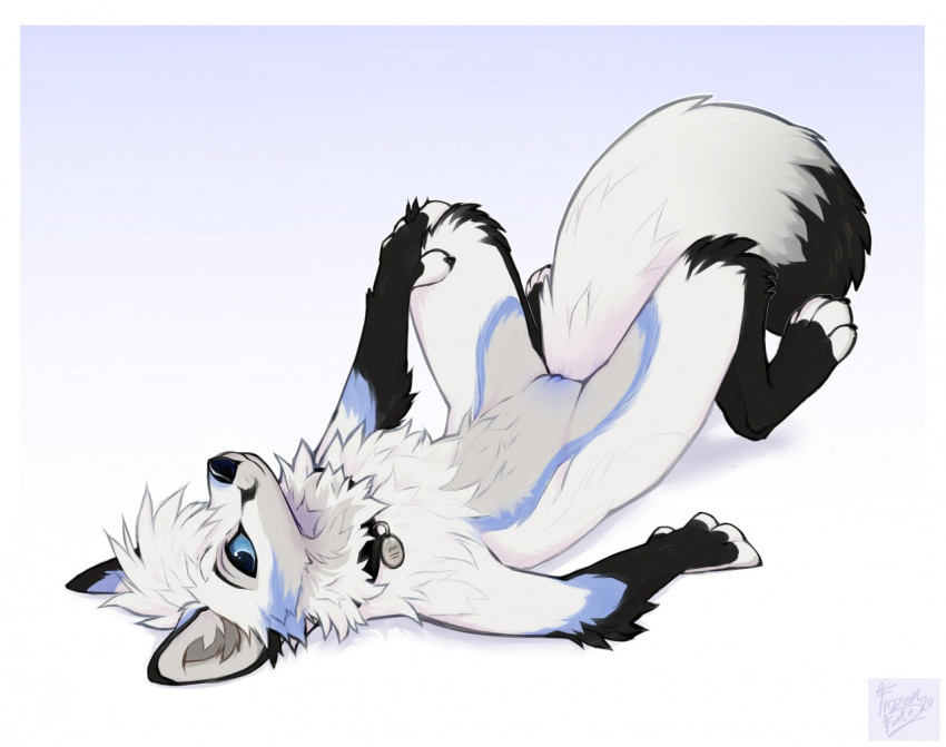 Kitakettu (Artist) Rule 34 Image