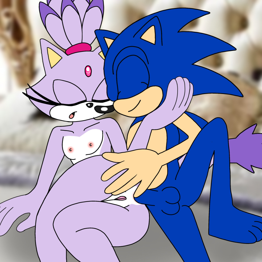 anal anal_sex blaze blaze_the_cat huge_ass male penis small_breasts sonic_(series) sonic_the_hedgehog sonic_the_hedgehog_(series)